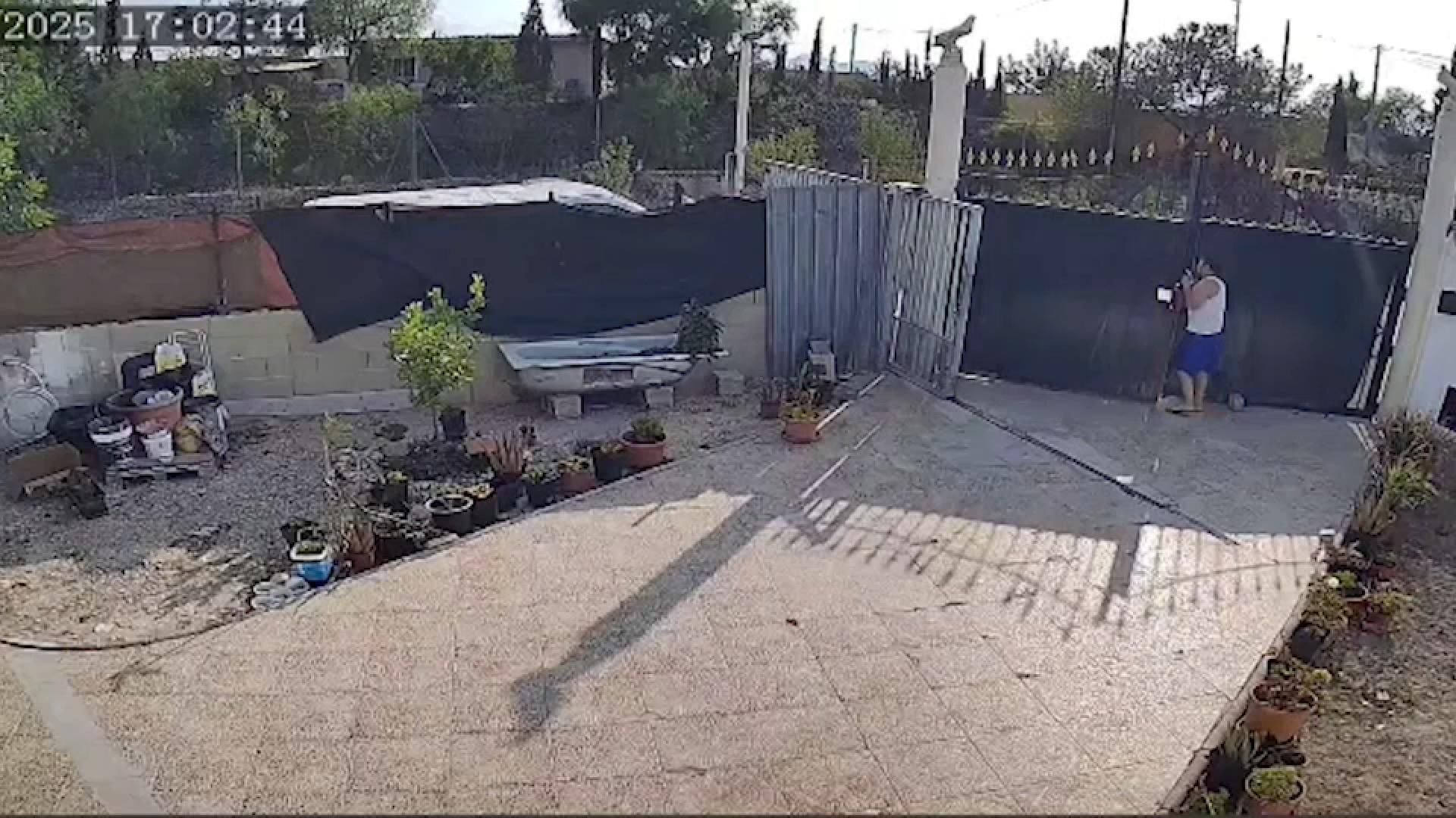Imatges del moment abans de l'atropellament, quan la víctima va eixir al camí