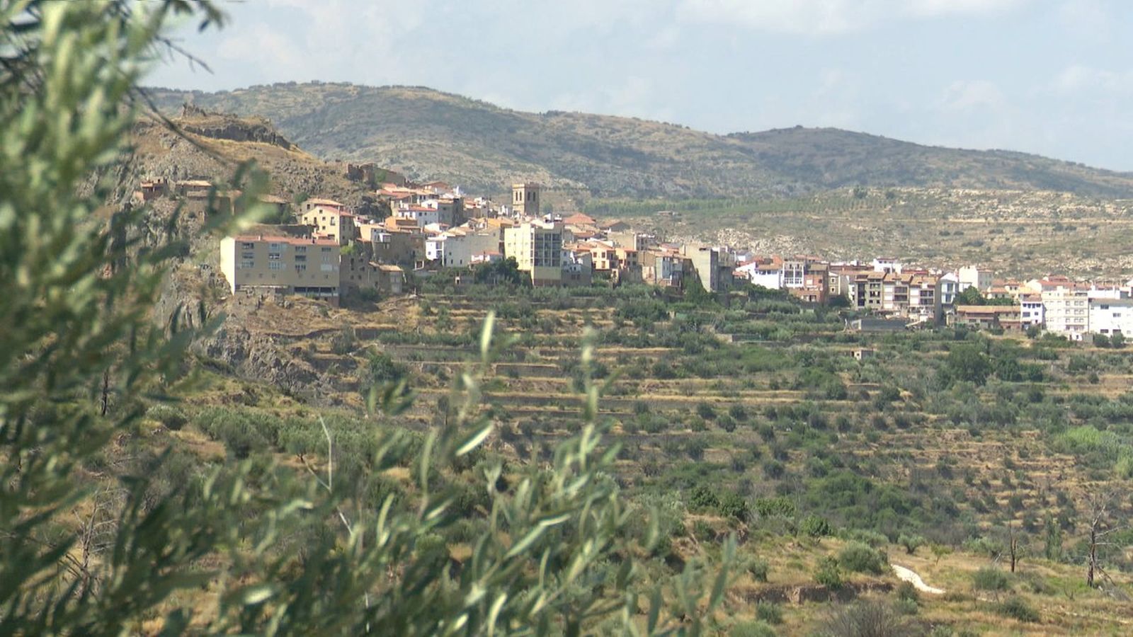 Bejís, un cas de recuperació després d'un incendi