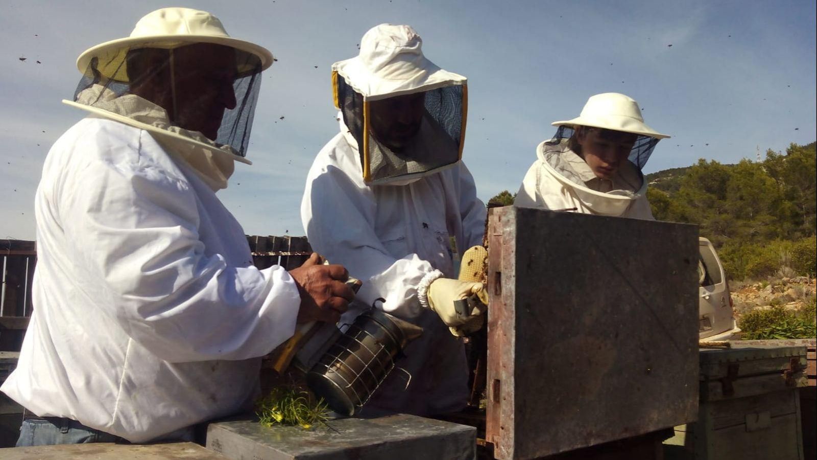 Imatge d'arxiu d'uns apicultors valencians