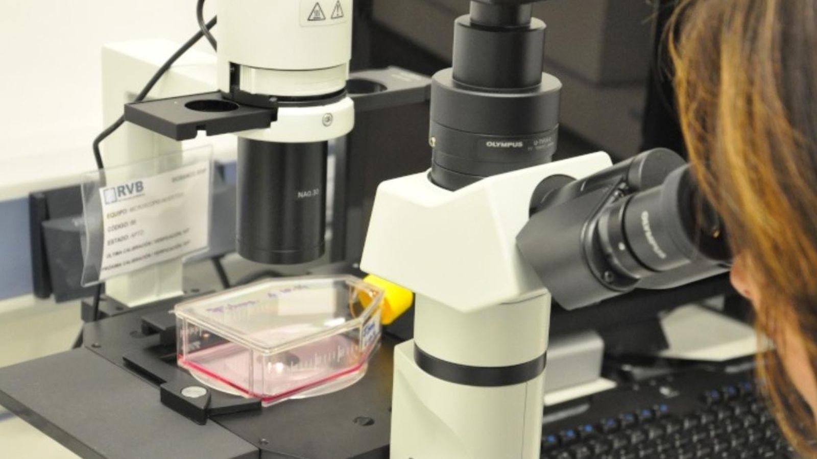 Quant pot durar el coronavirus en les superfícies?
