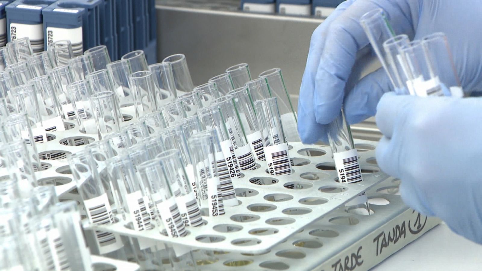 Què pot passar amb la variant òmicron a la Comunitat Valenciana