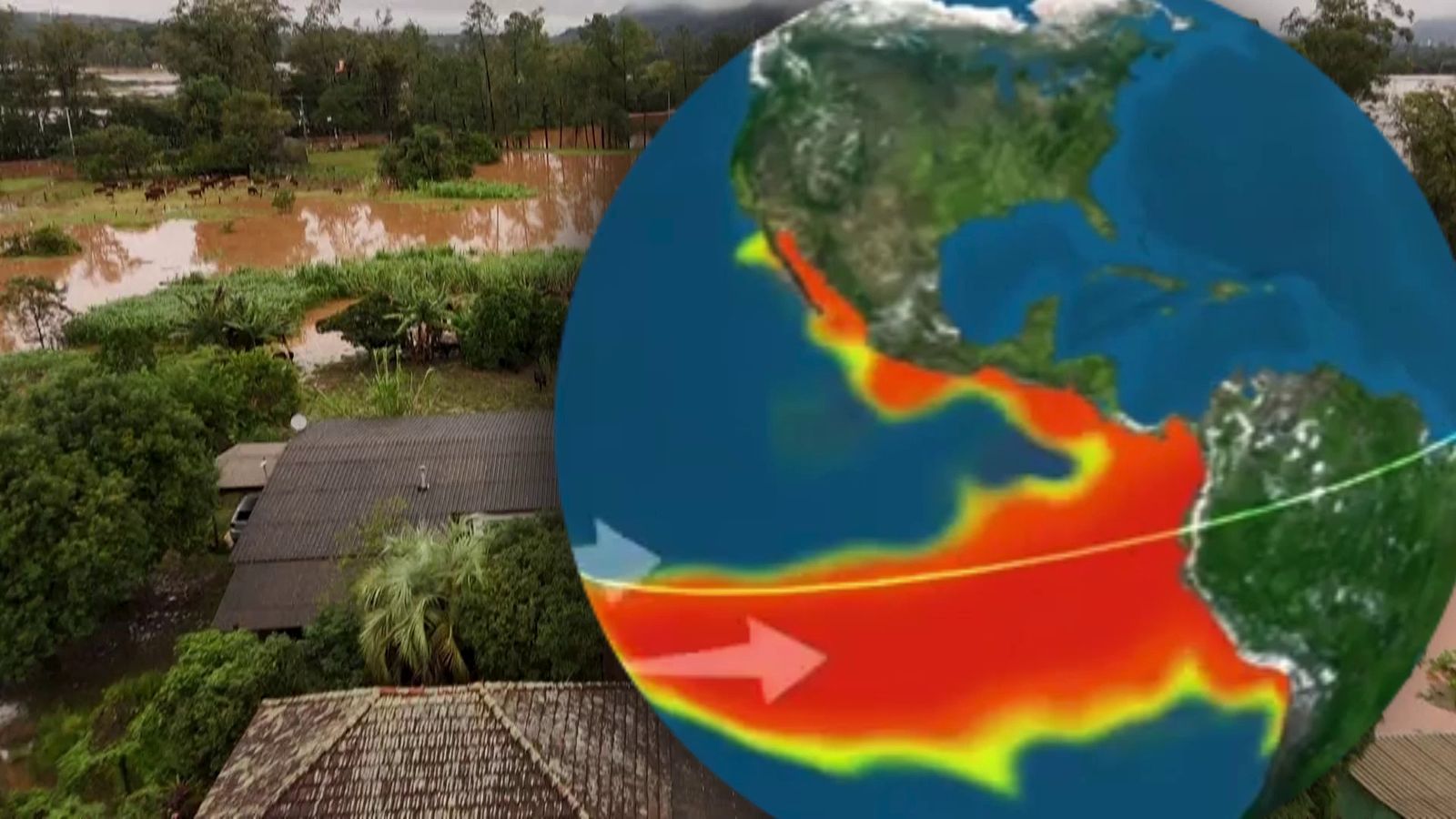 Anomalia de temperatura de l'oceà en una situació del Niño. Recreació gràfica.