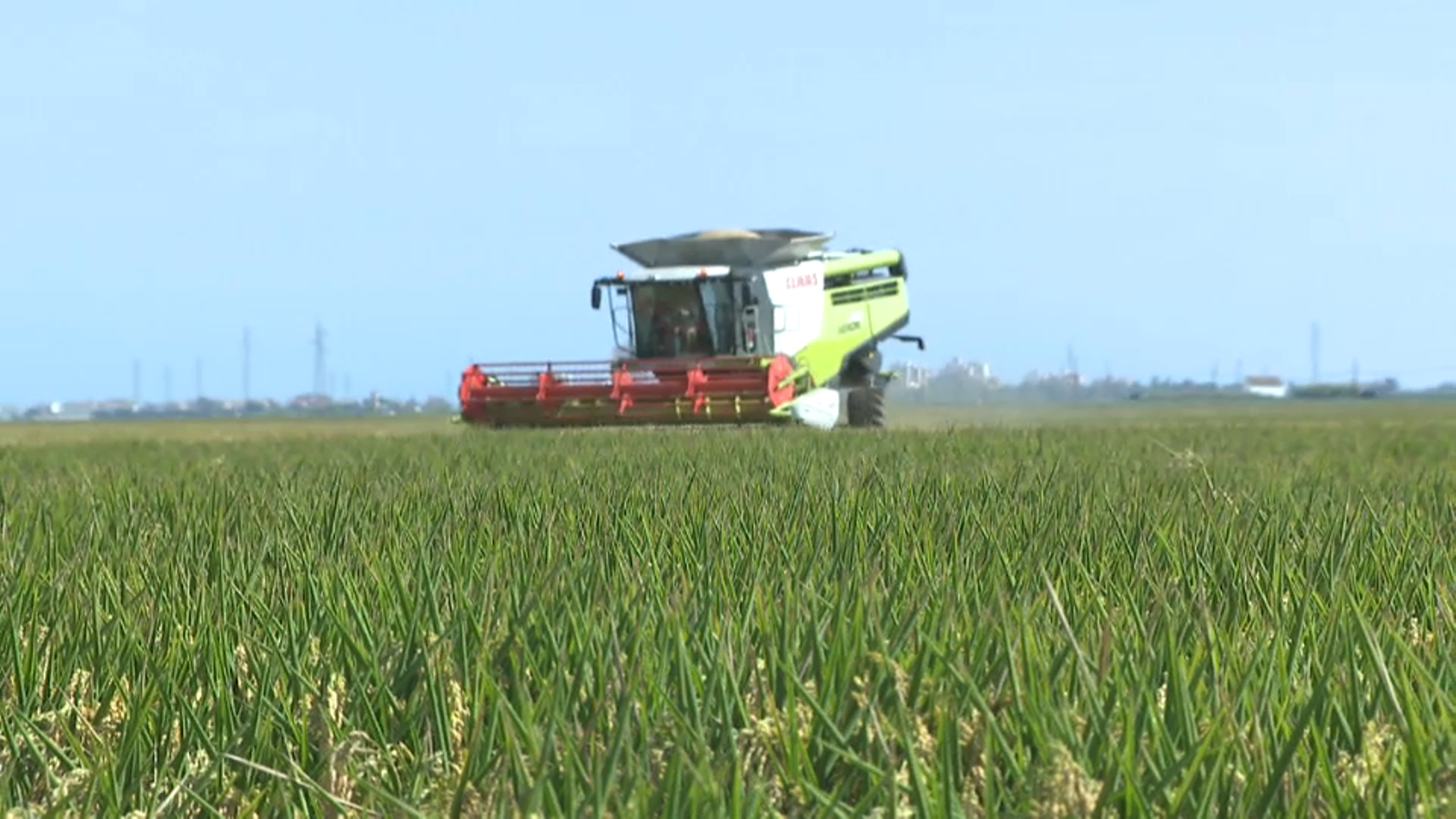 Maquinària que s'utilitza durant la sega de l'arròs