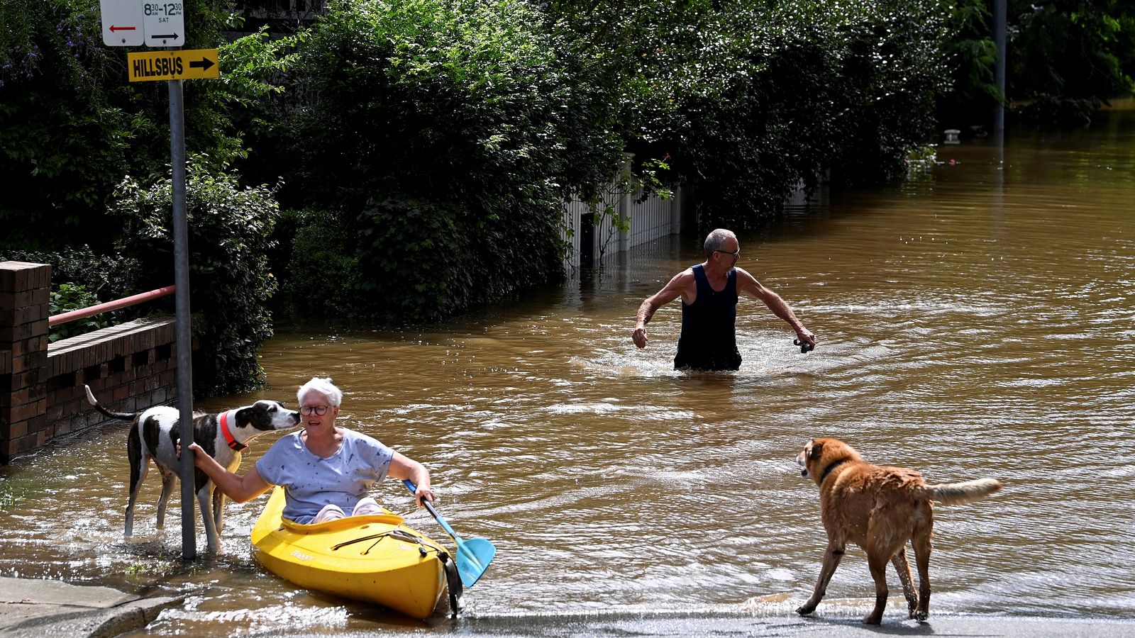 Dos residents avancen com poden per una carretera negada a Windsor, al nord-oest de Sydney