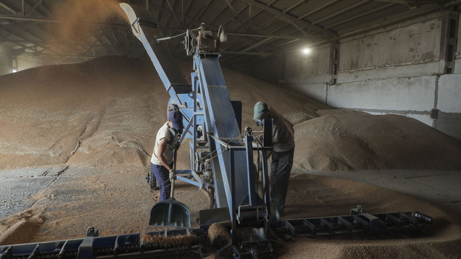 Treballadors assecant blat en una granja de Kalmychanks, a la regió de Lugansk, Ucraïna