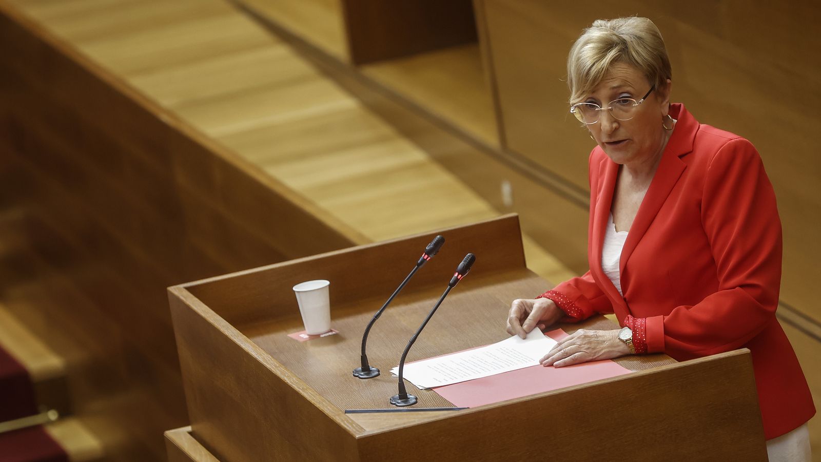 La síndica del PSPV en les Corts, Ana Barceló, en una imatge d'arxiu