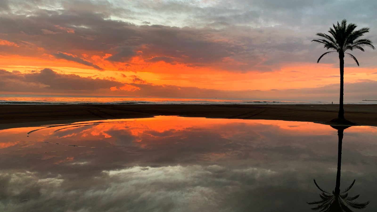 1- TONI JOVER, Cullera, la Ribera Baixa