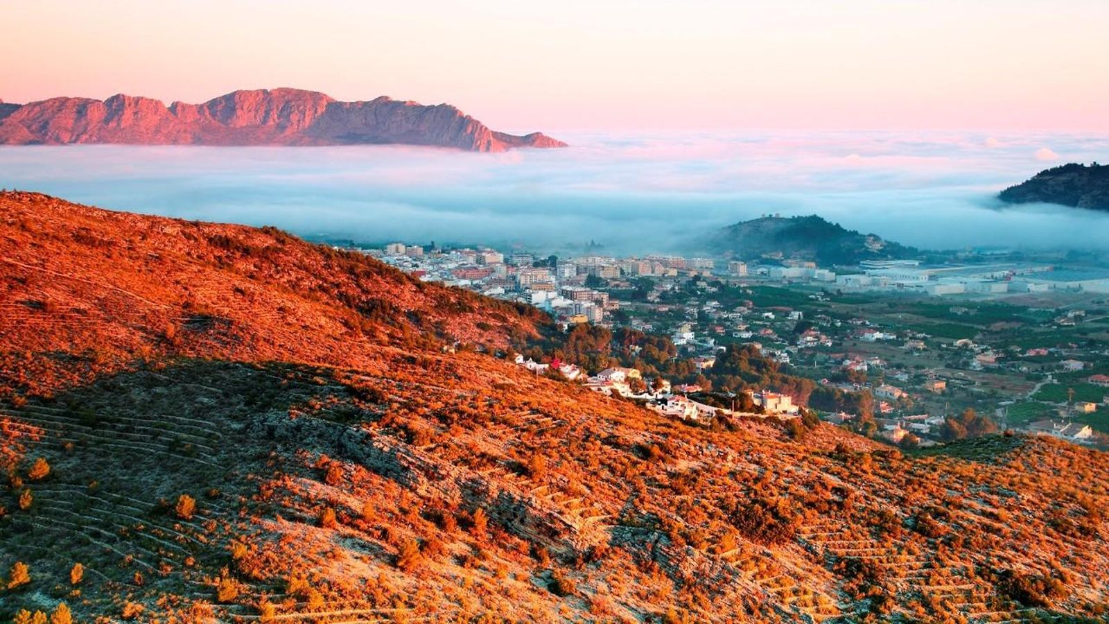 01.09.2020 | Quarta hora