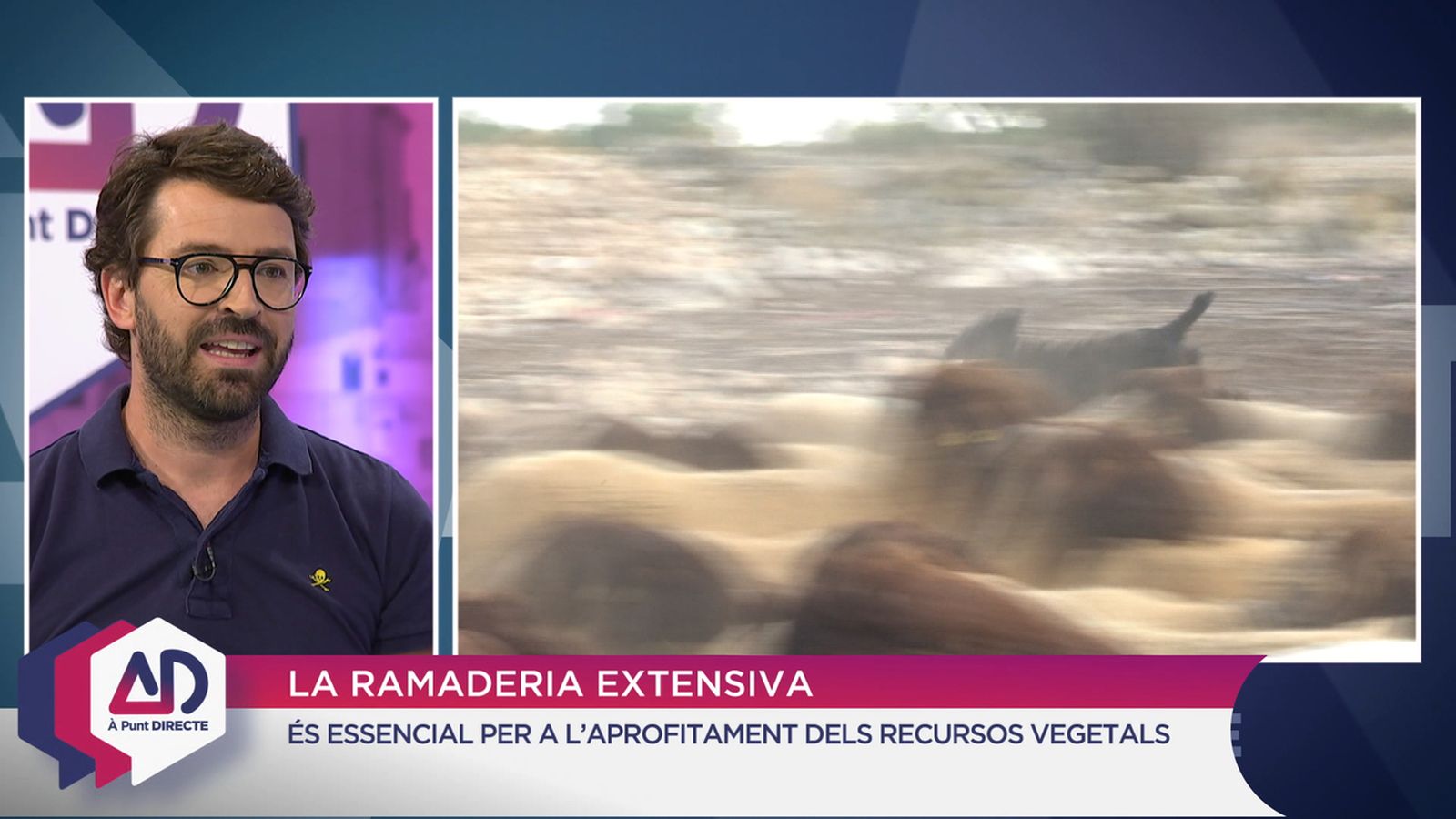 La ramaderia extensiva