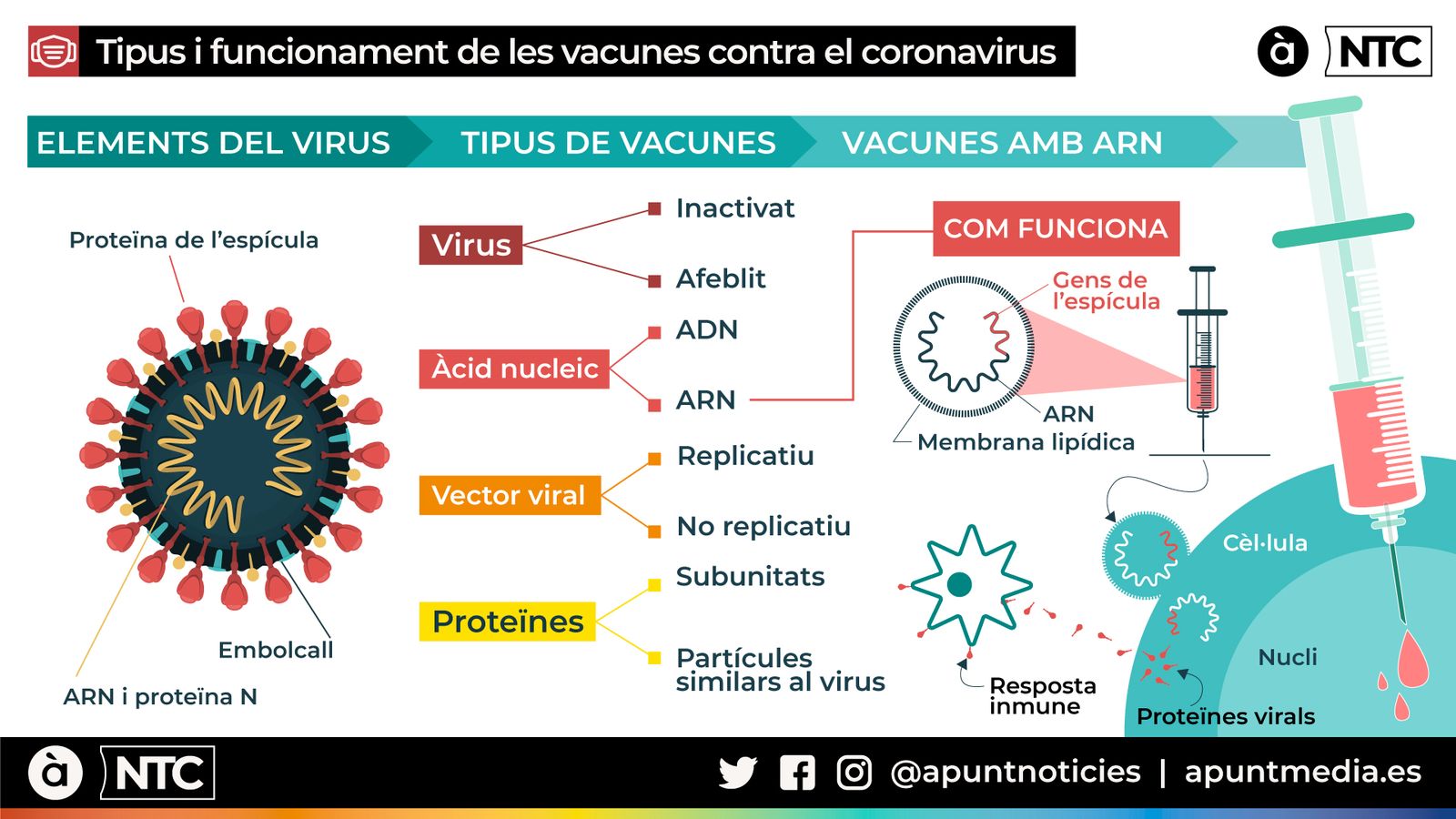Resolem els dubtes més freqüents sobre la vacuna contra el coronavirus