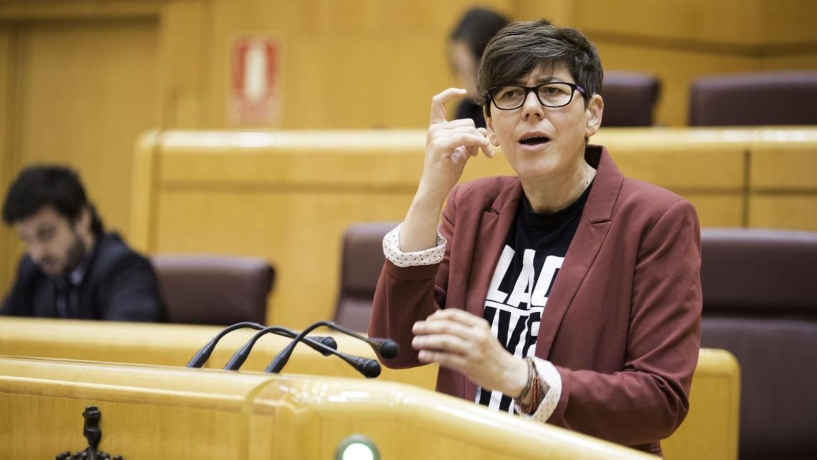 Pilar Lima, senadora i portaveu de Podem, denuncia la situació de l'alumnat sord en els centres educatius de la Comunitat Valenciana.