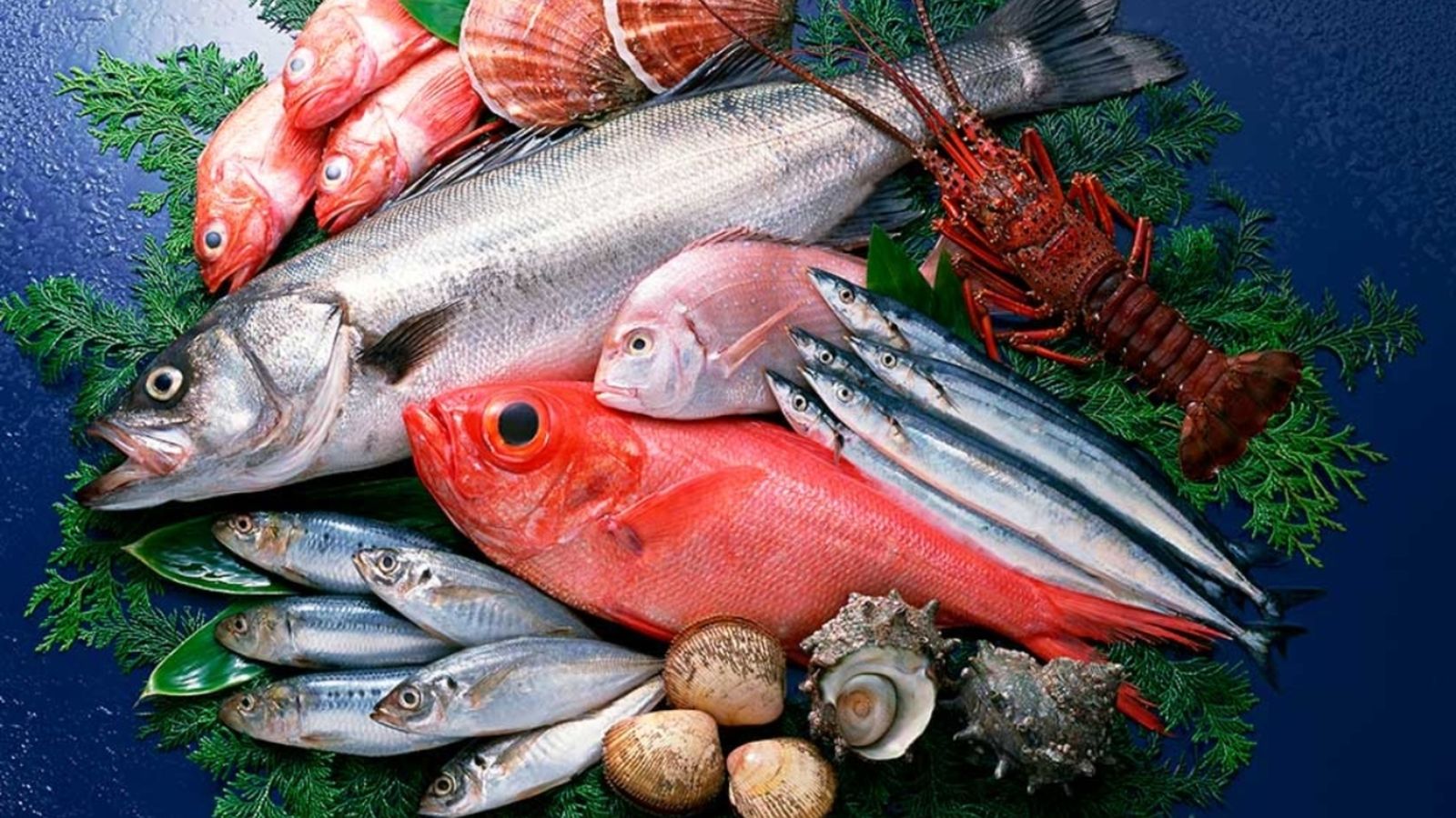 26.06.2018 | Consells per menjar peix i mariscos sense cuinar