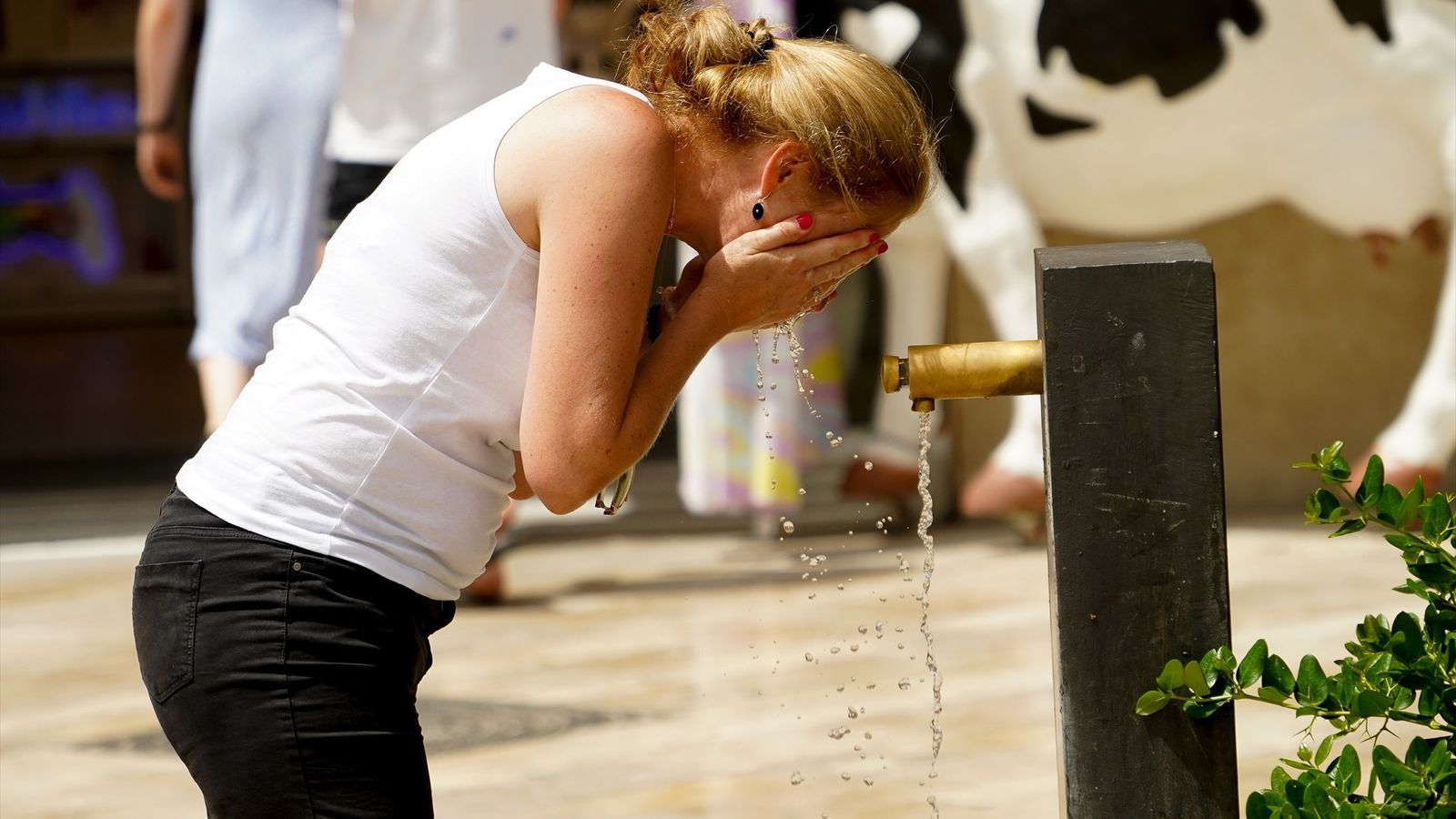 El mercuri va marcar 36 graus a localitats com Utiel este dijous