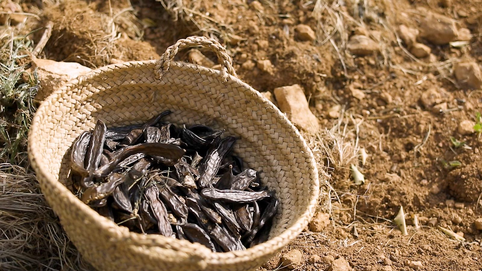 Qüestió de garrofes