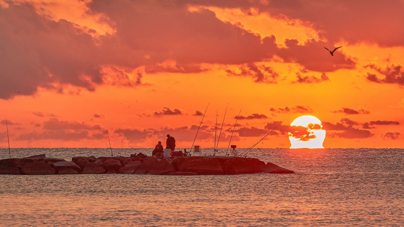 MELIANA, L'HORTA NORD