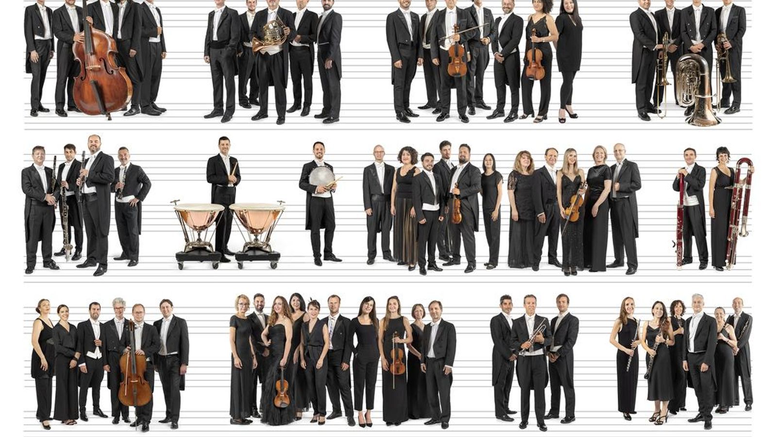 23.05.2025 | El musiquer