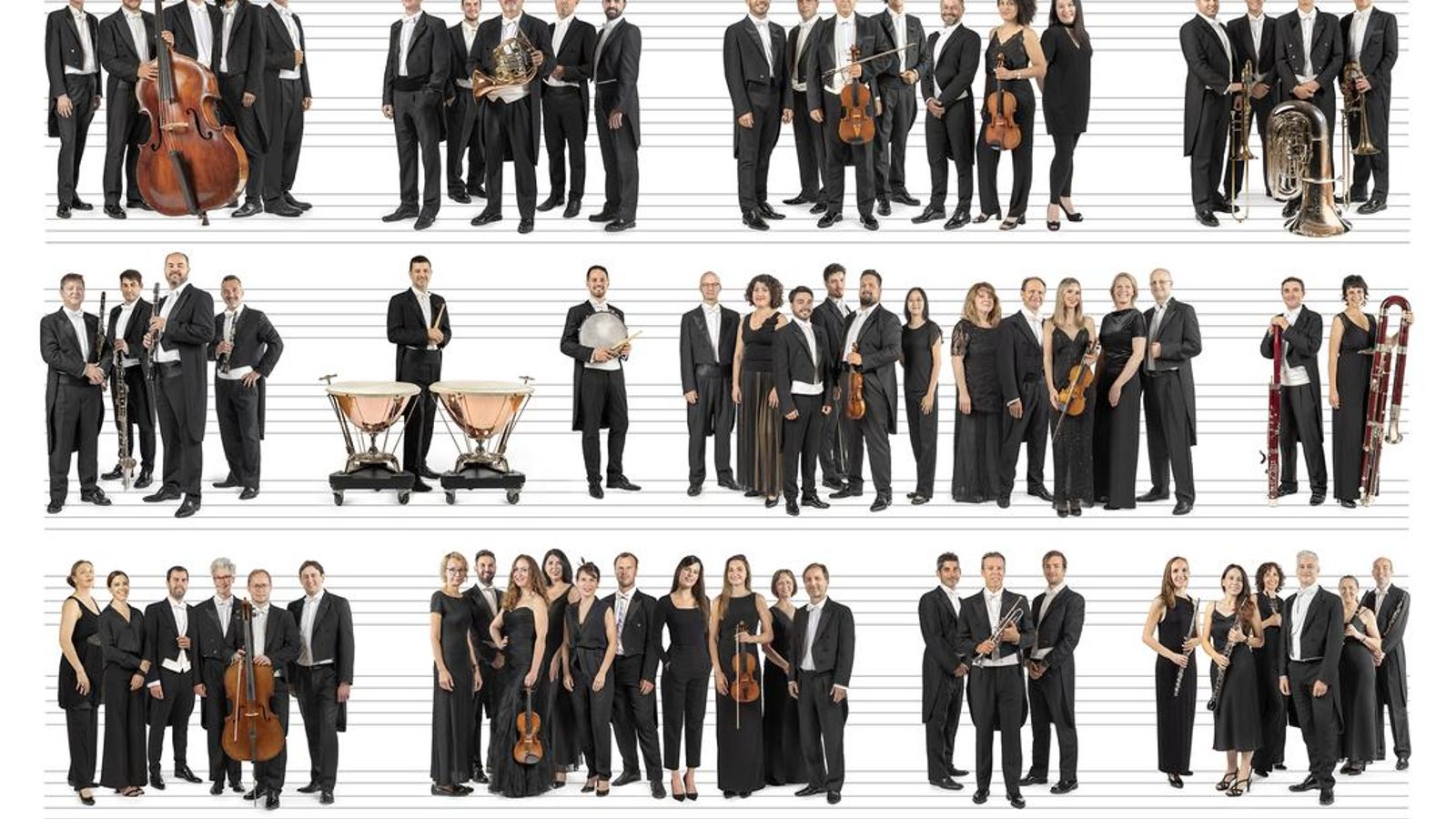 23.05.2025 | El musiquer