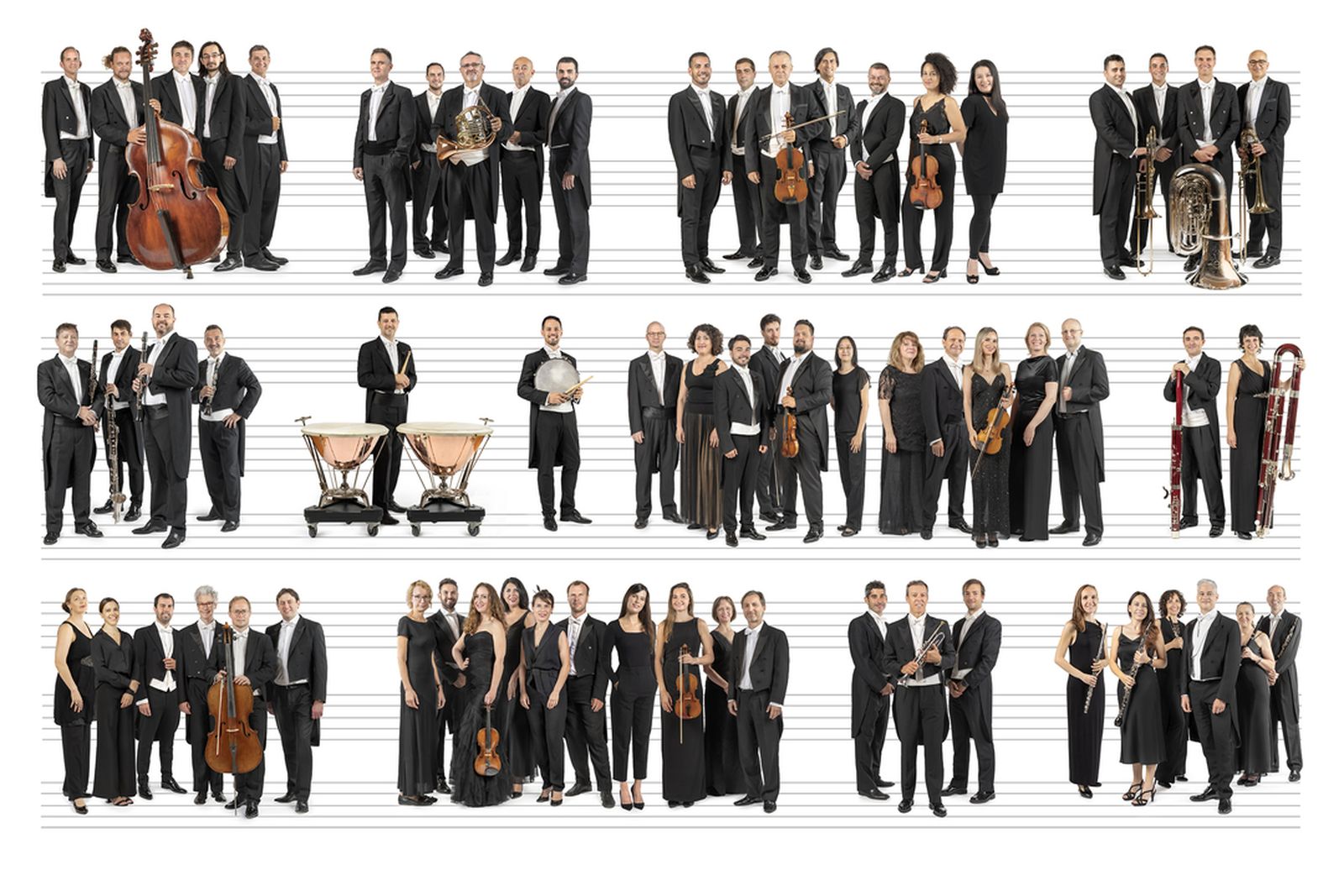 23.05.2025 | El musiquer