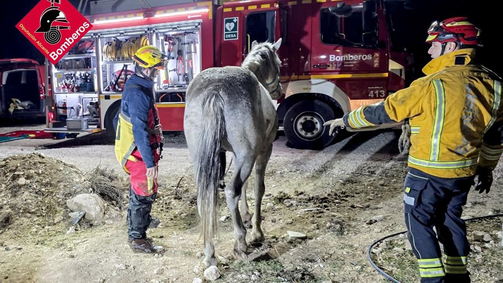 Dos bombers examinen el cavall rescatat