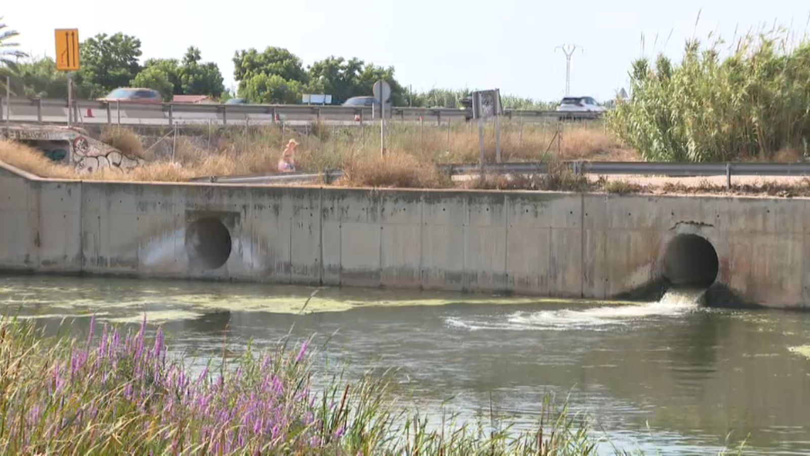 El PP demanarà la compareixença de Mollà a les Corts pels vessaments a les platges