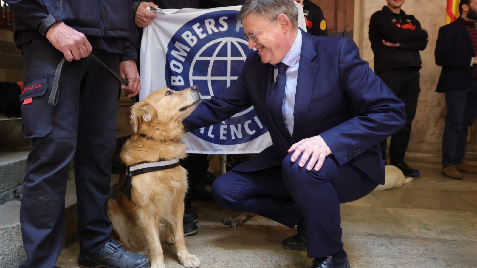 Els president de la Generalitat acarona un gos dels que han participat en el rescat de les víctimes del terratrèmol de Turquia, uns animals que, amb els guia i els de caça, quedaran fora de la norma