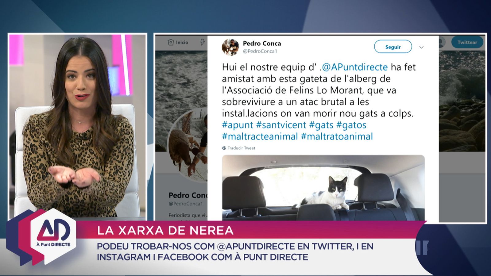 Ritme en la xarxa