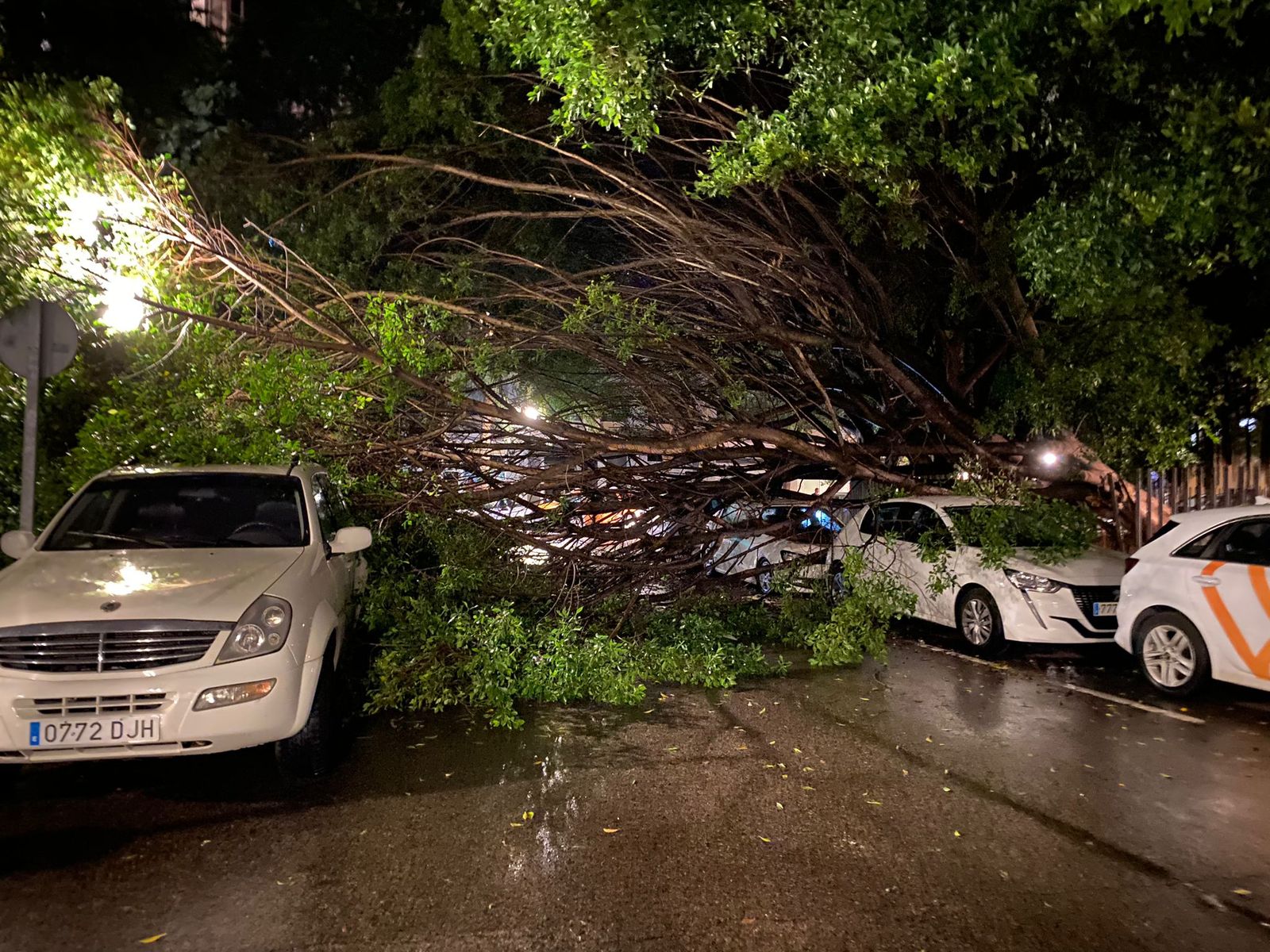 Un arbre ha caigut al Antonio Suárez de València blocant el trànsit