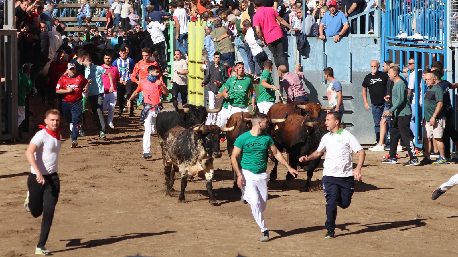 'Els encierros de Onda' reuneixen milers de corredors que venen des de totes les parts d'Espanya