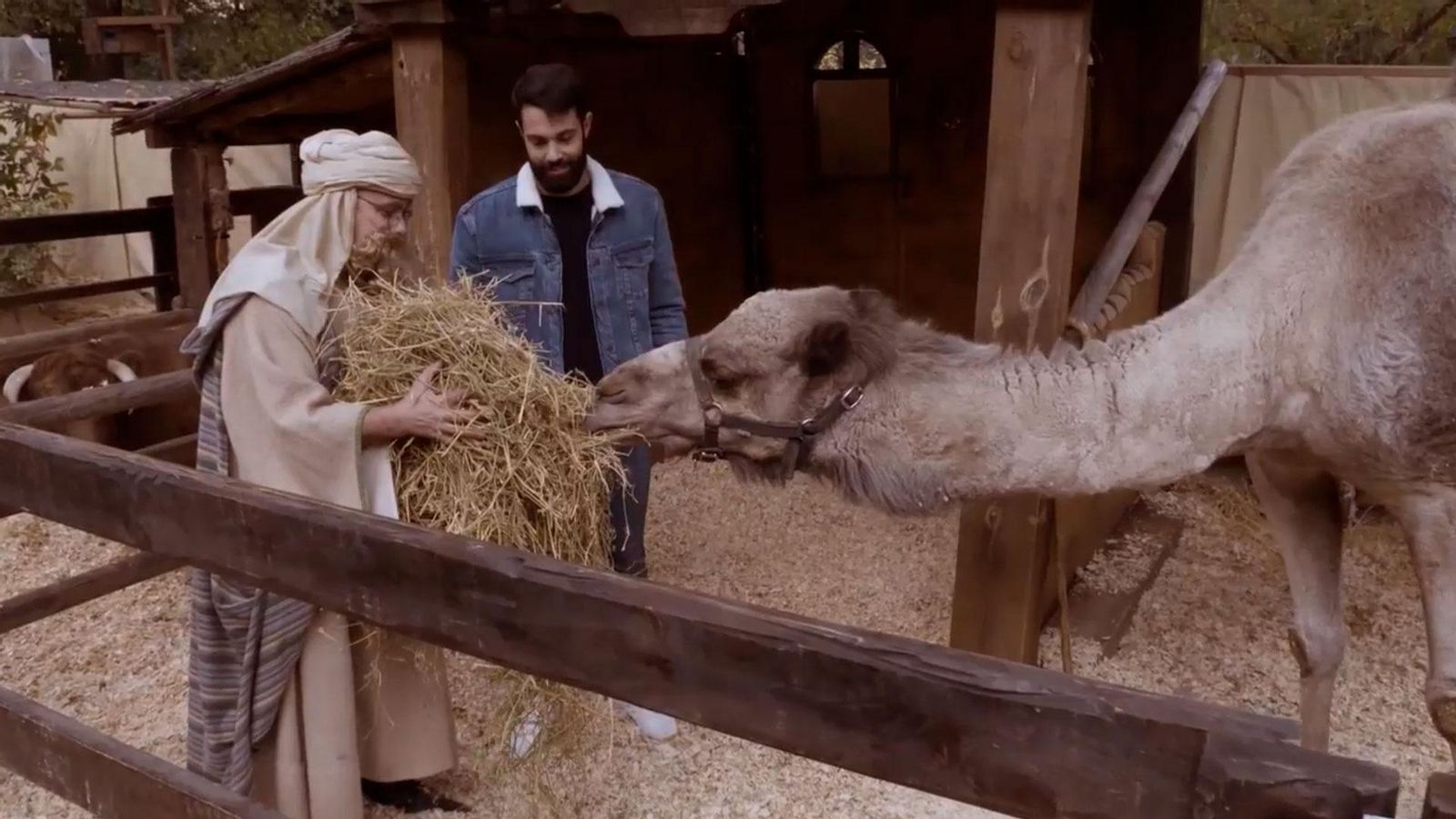 Quins animals trobarem en un Betlem?