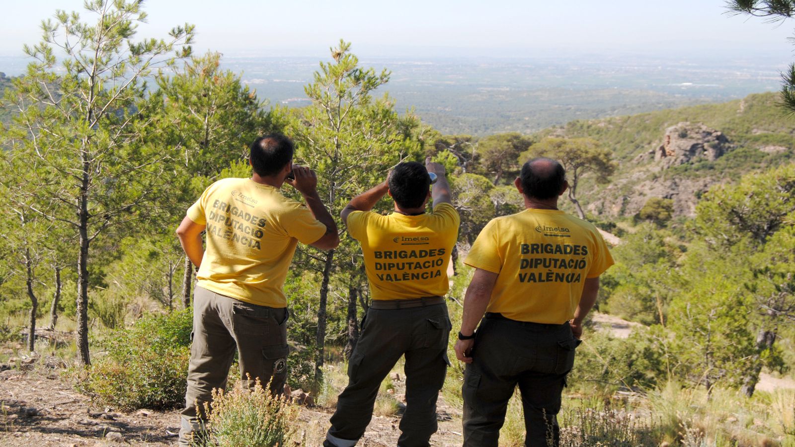 Treballadors d’Imelsa realitzant tasques de vigilància forestal.