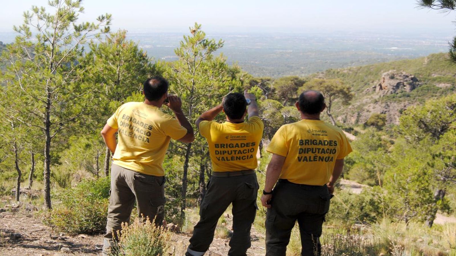 Treballadors d’Imelsa realitzant tasques de vigilància forestal.