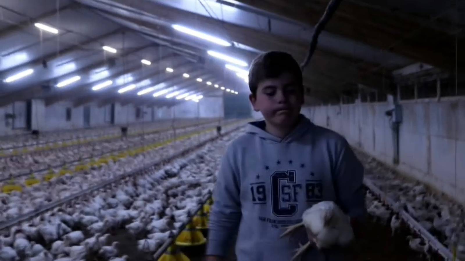 VIDA INTERIOR, IES La Serranía (Alpont