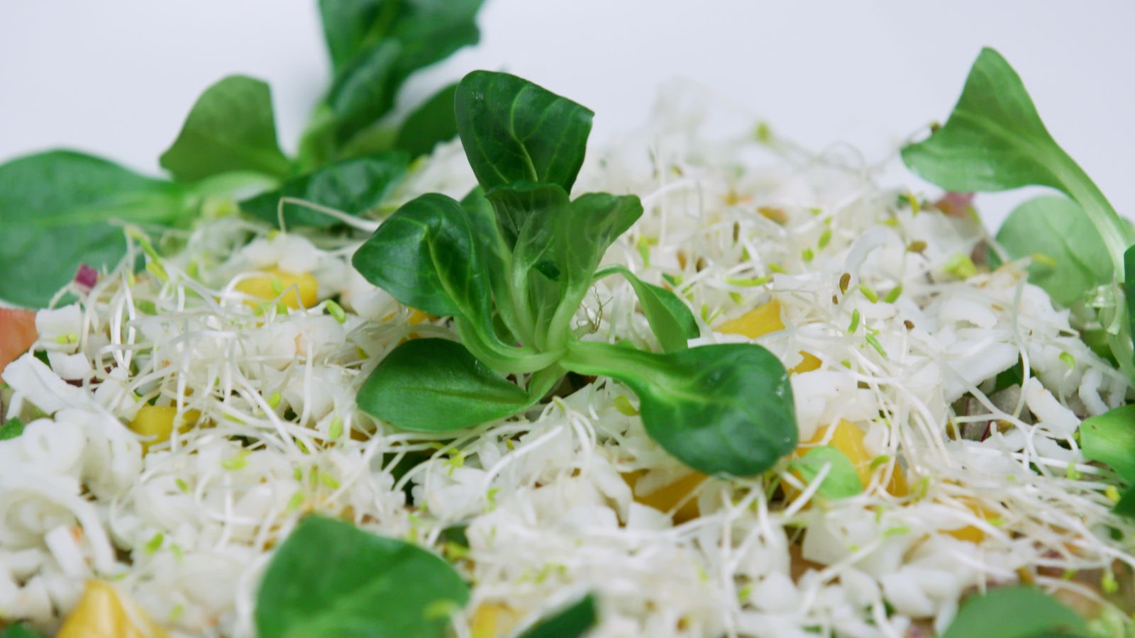 Potes de cranc amb alvocat i mango