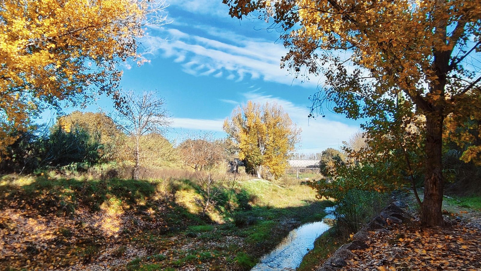 ENRIQUE JAVIER FERRI