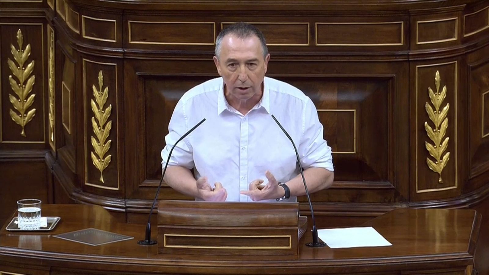 El diputat Joan Baldoví, aquest dimecres