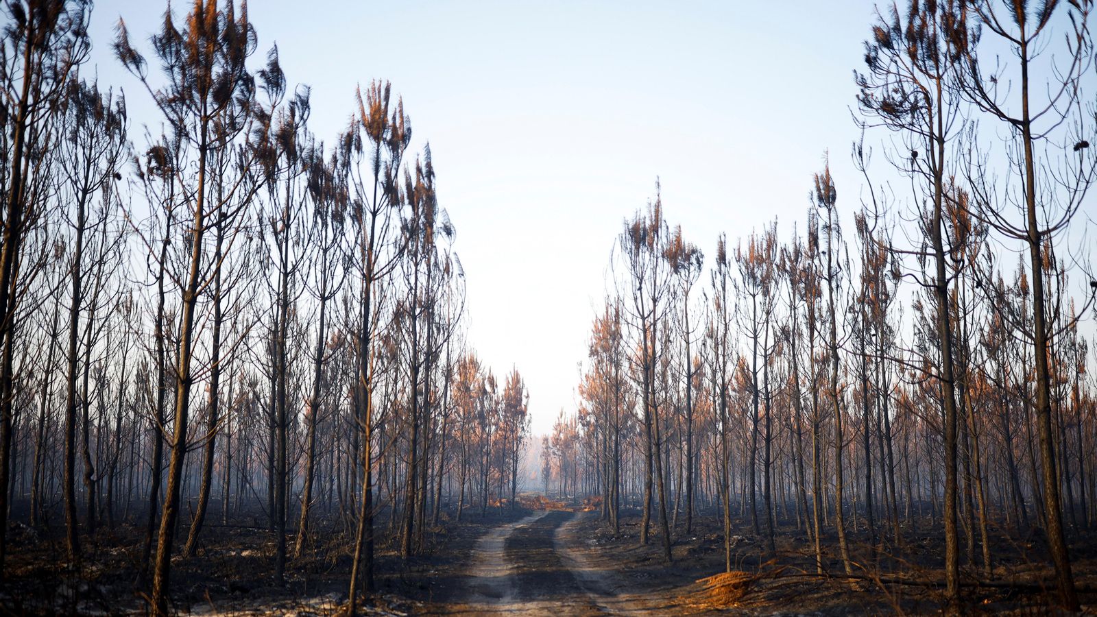 Àrea cremada a la regió francesa de la Gironda