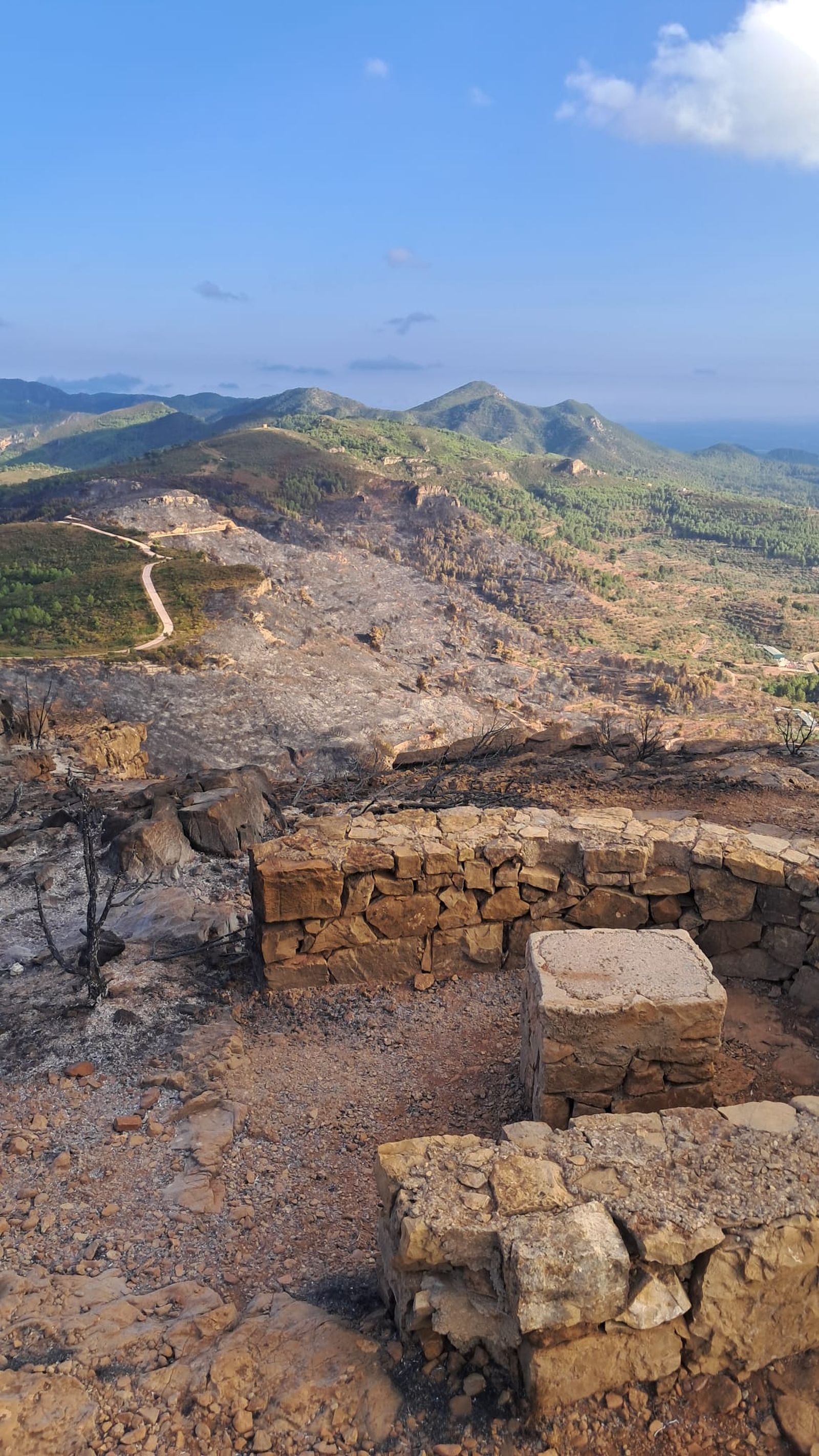 Vista panoràmica de la superfície afectada per l’incendi a la serra Calderona.