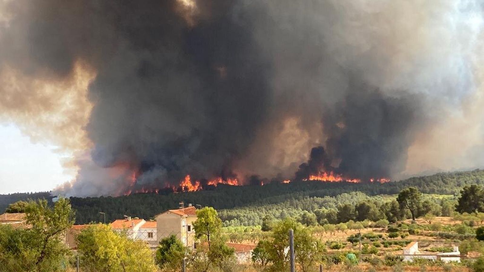 Imatges aèries de l'incendi forestal de Venta del Moro