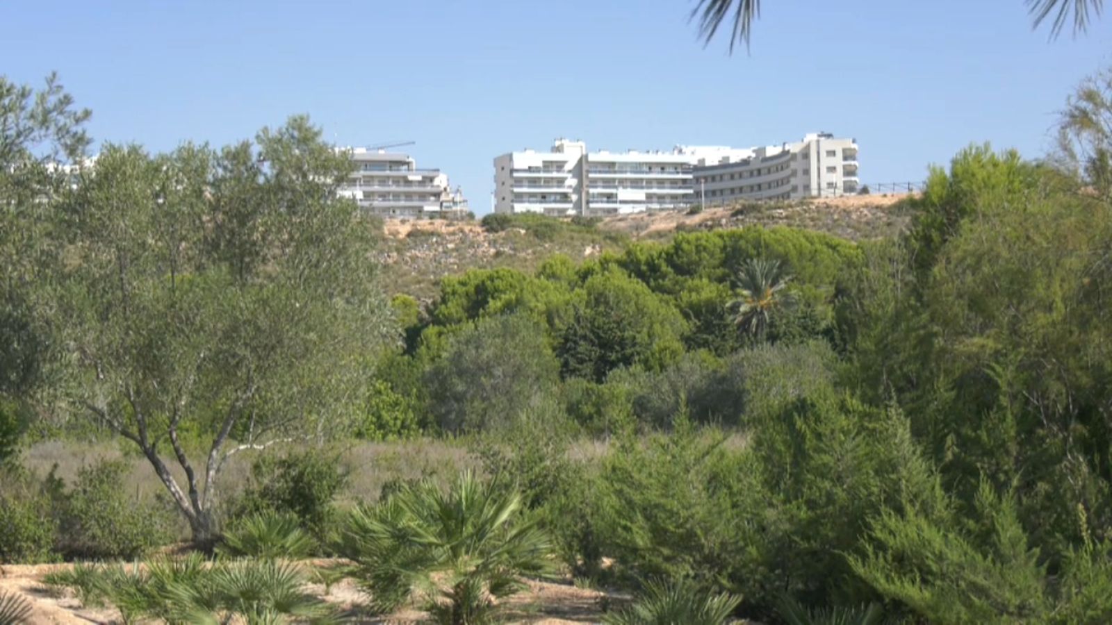 El Clot del Galvany, a Elx