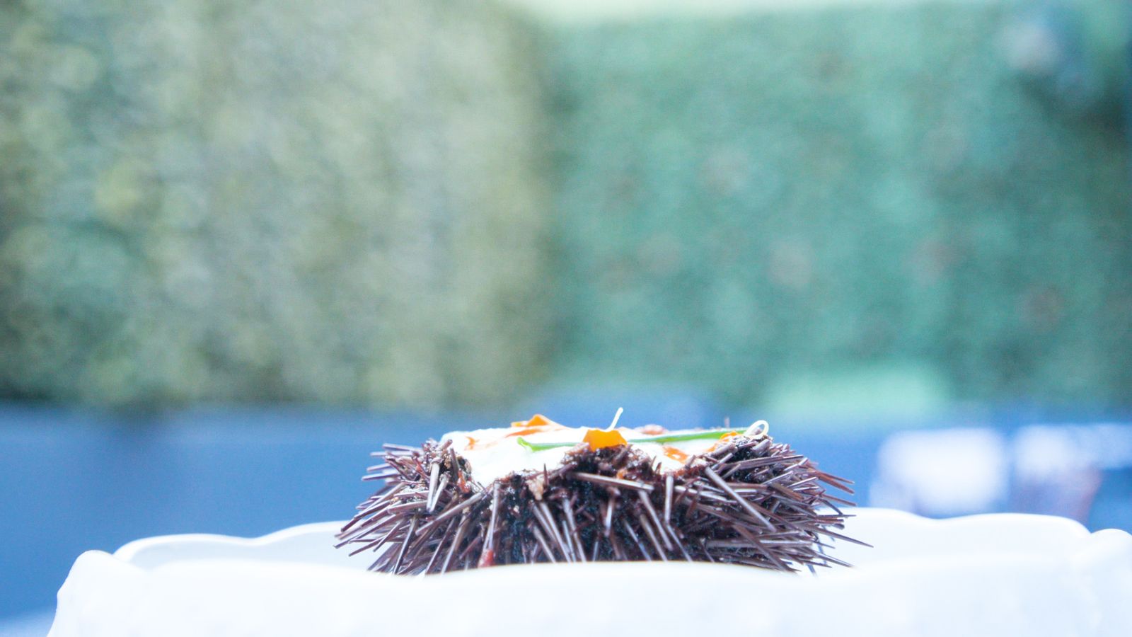 L'eriçó de mar a la cuina