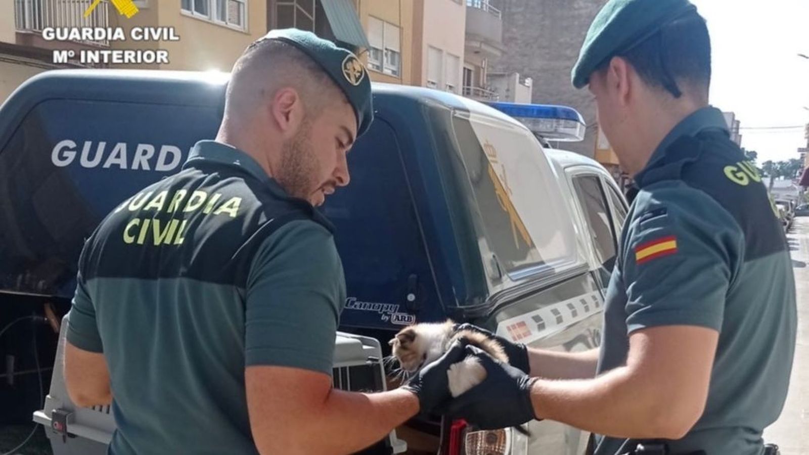 Els agents amb el gat rescatat del cotxe