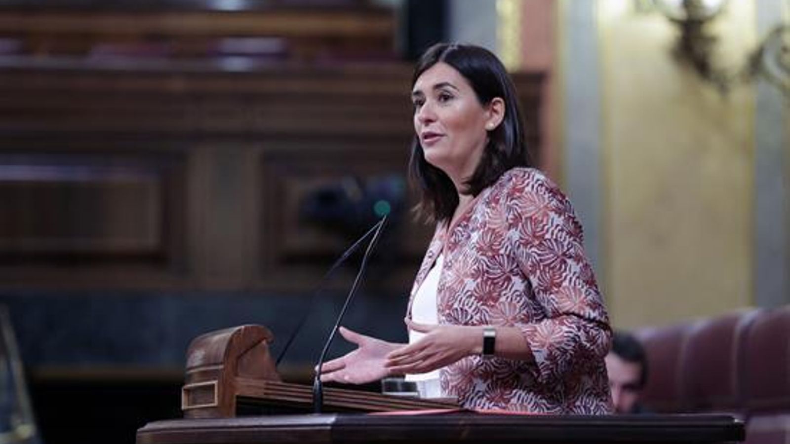 Carmen Montón, en un debat al Congrés dels Diputats