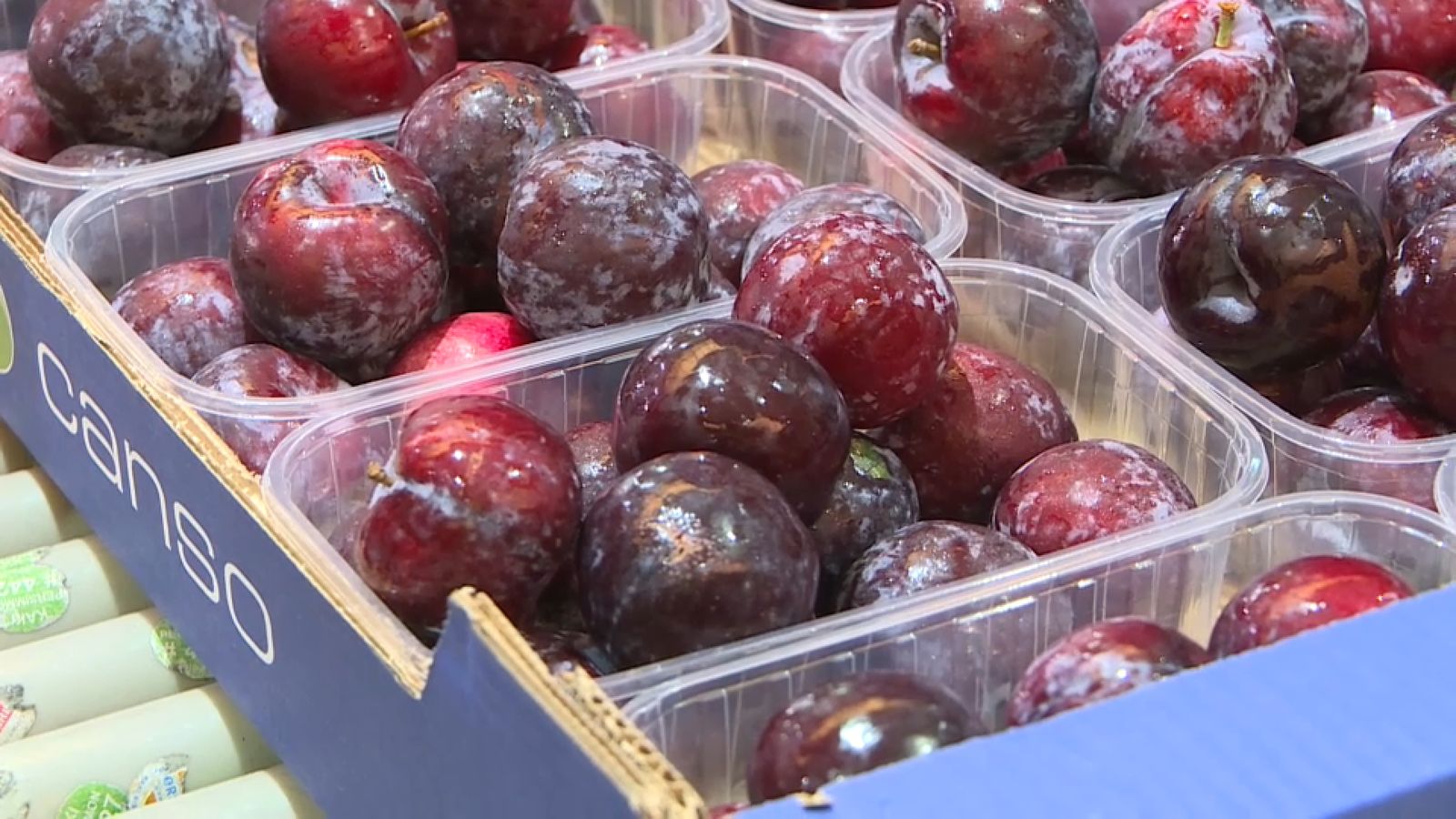 Envasament de prunes preparades per a vendres