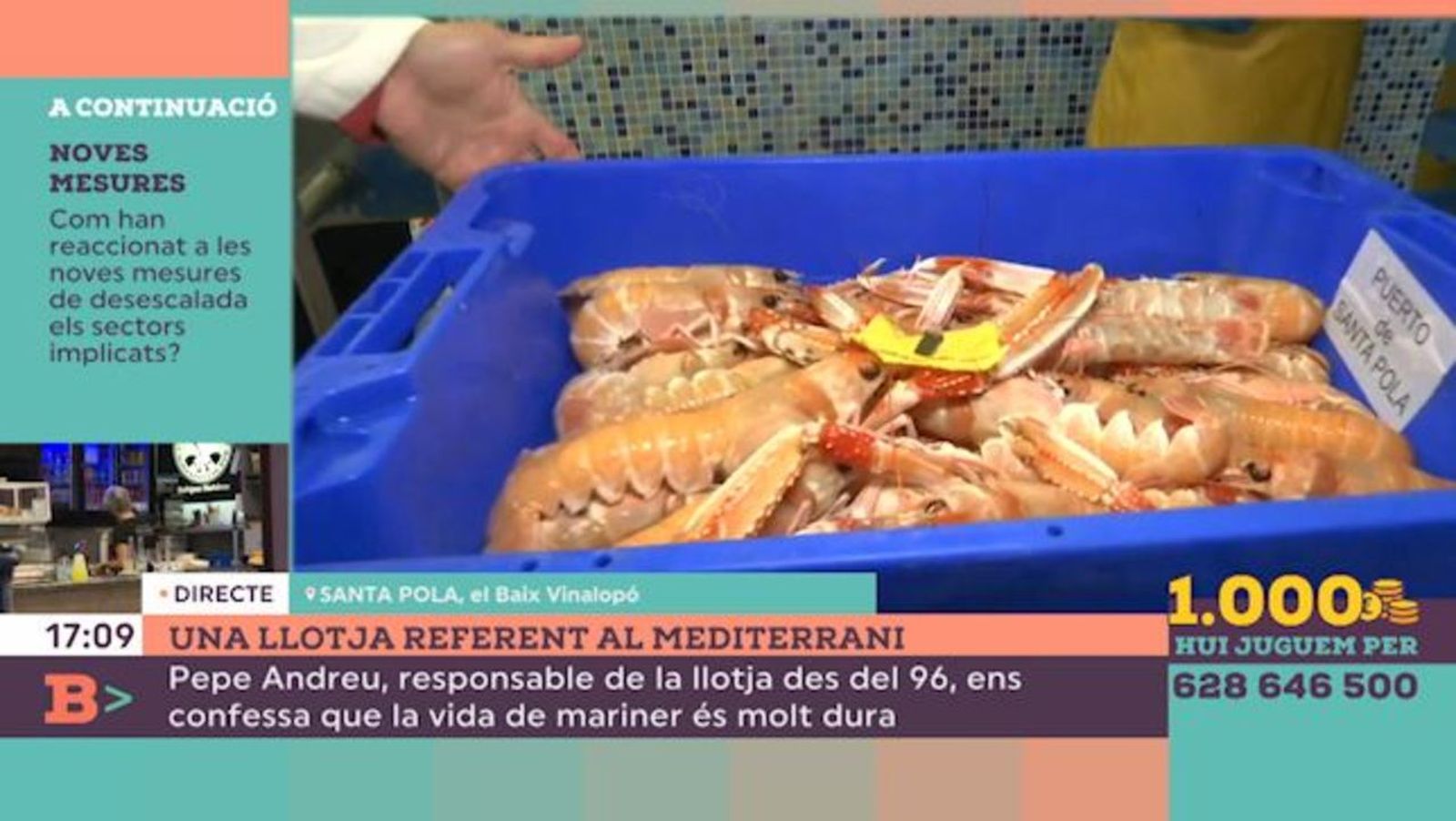 25.02.2021 | Una llotja referent al Mediterrani