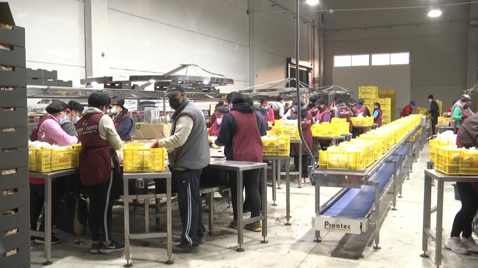 L'impacte de la vaga del transport pot ser molt gran per al sector del raïm