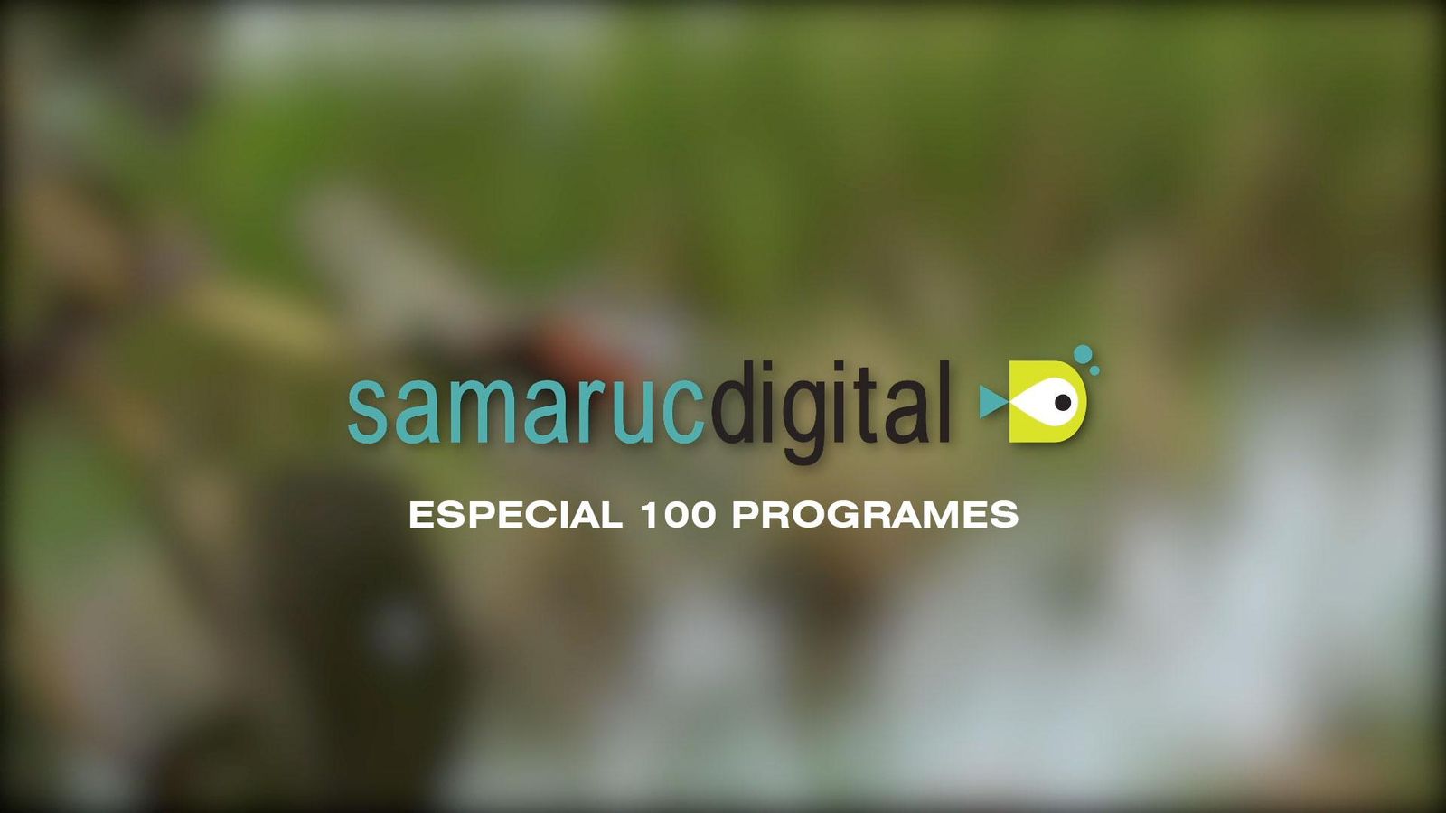 11.04.2020 | Especial 100 programes