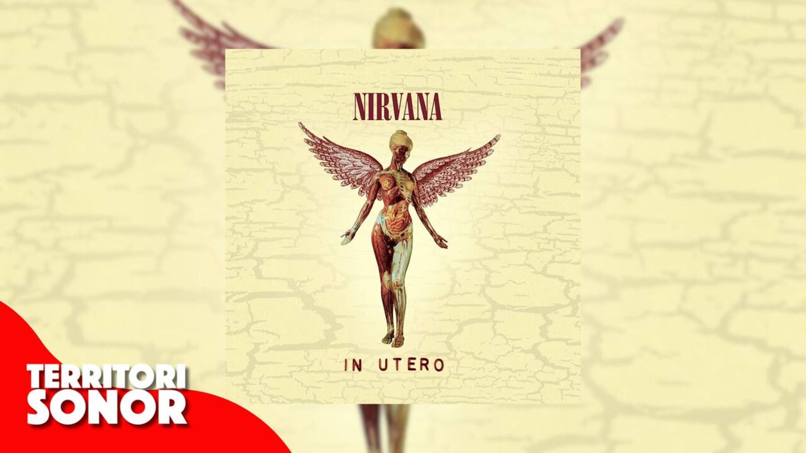 31.01.2024 | 33 revolucions per a canviar el món | ‘In Utero’