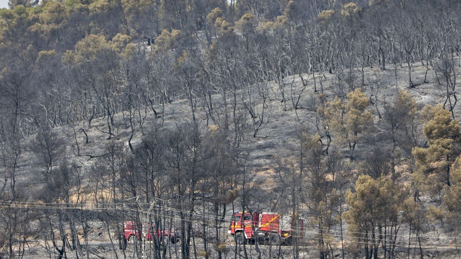 Imatge de portada: terreny afectat per l'incendi declarat a Venta del Moro