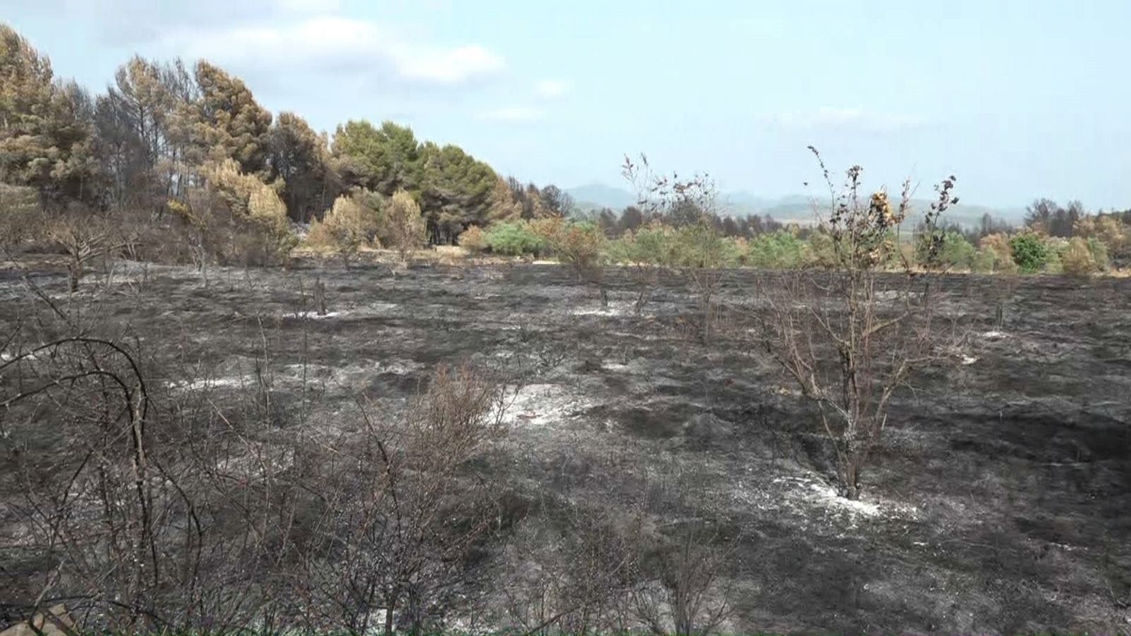 La Guàrdia Civil comprova si l’origen del foc són les espurnes del trens al passar per les vies