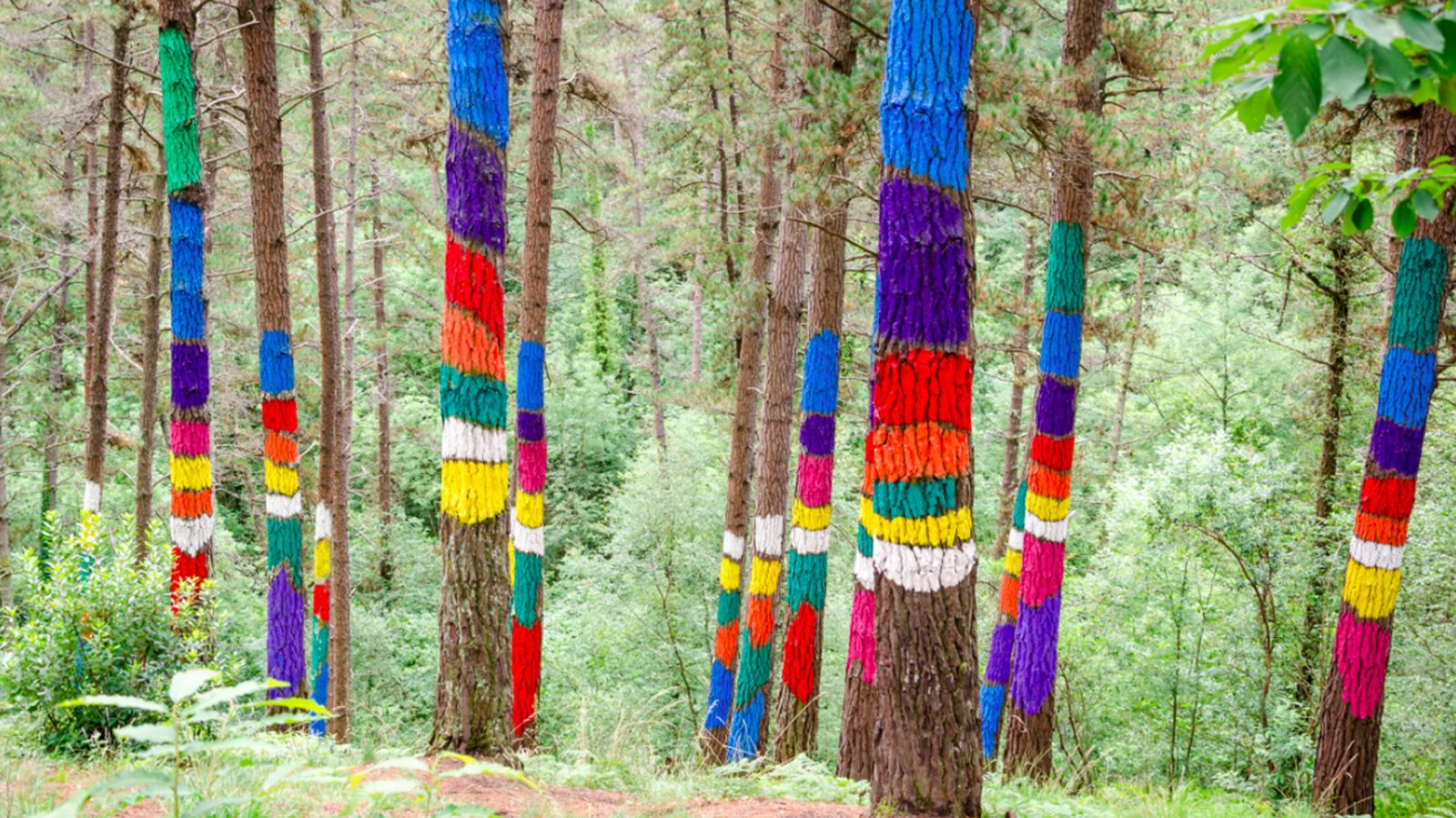 15.04.2019 | La naturalesa, objecte i subjecte de l’art